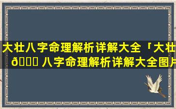 大壮八字命理解析详解大全「大壮 🐋 八字命理解析详解大全图片」